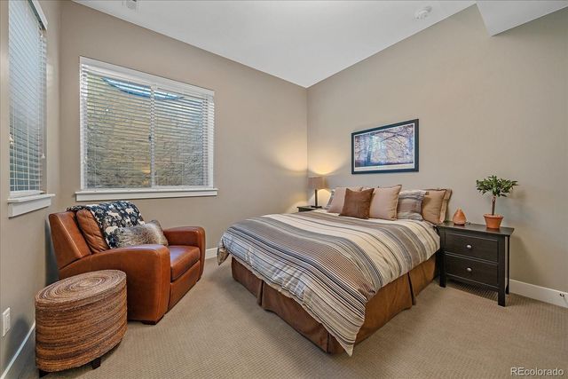 230 S Big Meadow Trail, Franktown, CO 80116