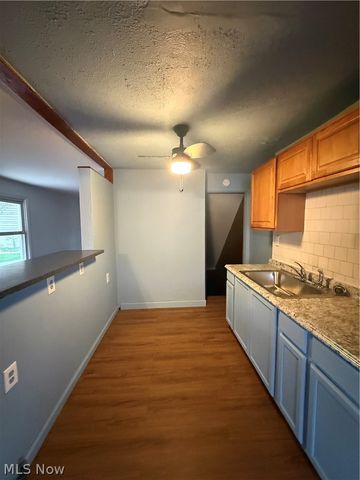 1427 E 252nd Street, Euclid, OH 44117