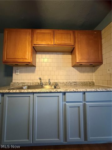 1427 E 252nd Street, Euclid, OH 44117