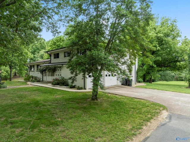 1467 Apple Grove Road, Somerville, AL 35670