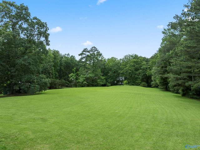 1467 Apple Grove Road, Somerville, AL 35670