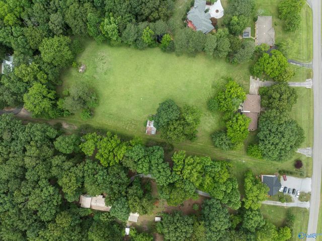 1467 Apple Grove Road, Somerville, AL 35670