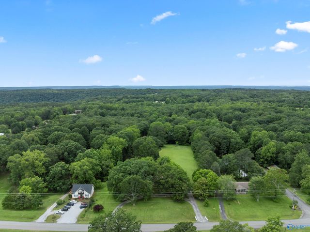 1467 Apple Grove Road, Somerville, AL 35670