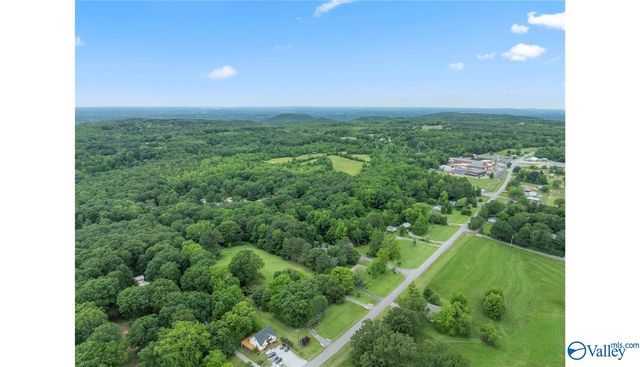 1467 Apple Grove Road, Somerville, AL 35670