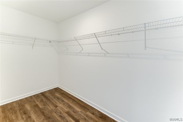 14392 Bellflower, Tuscaloosa, AL 35405