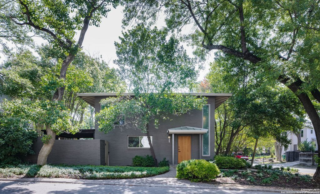 221 Ogden Ln, San Antonio, TX 78209
