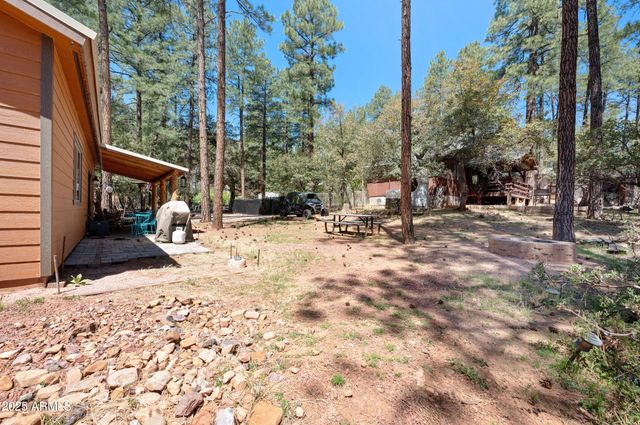 3685 N Cochise Lane, Pine, AZ 85544