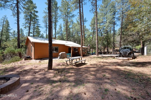 3685 N Cochise Lane, Pine, AZ 85544