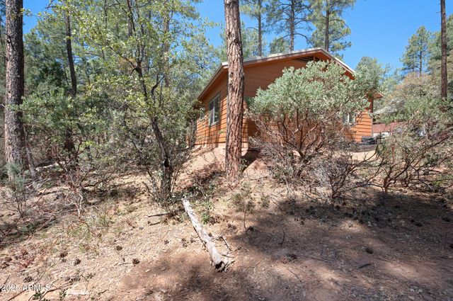 3685 N Cochise Lane, Pine, AZ 85544