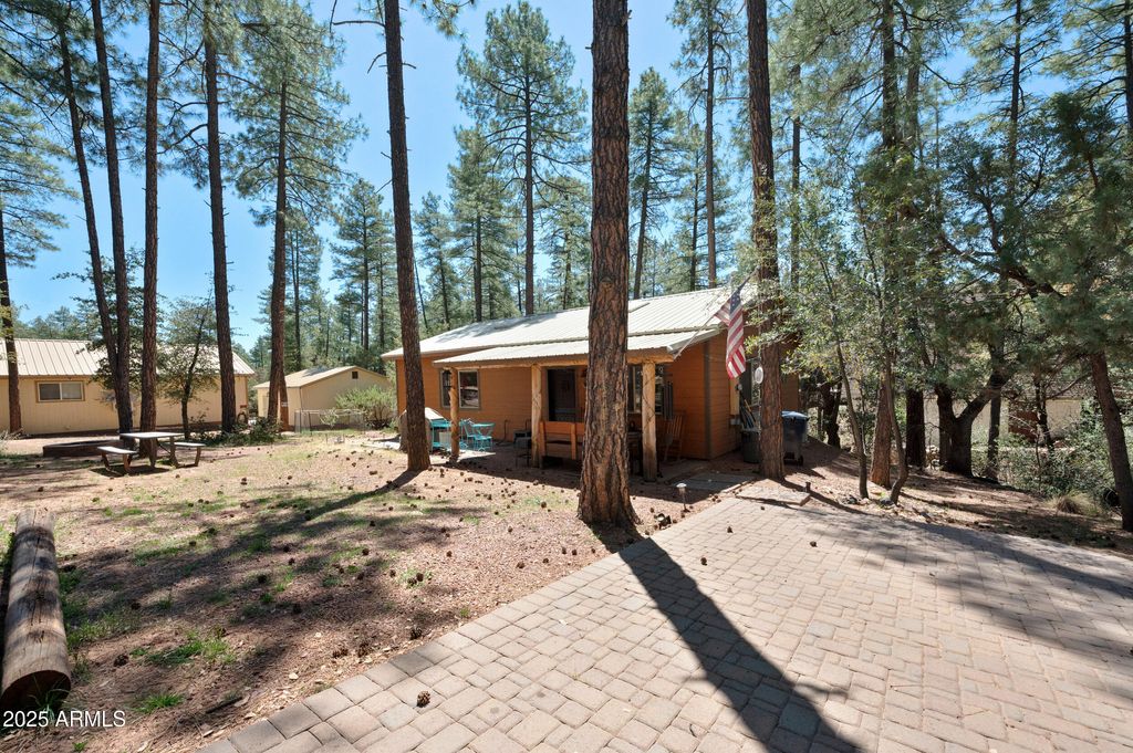 3685 N Cochise Lane, Pine, AZ 85544