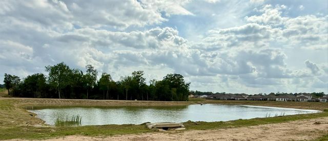 11707 Eclipse Drive, Willis, TX 77318