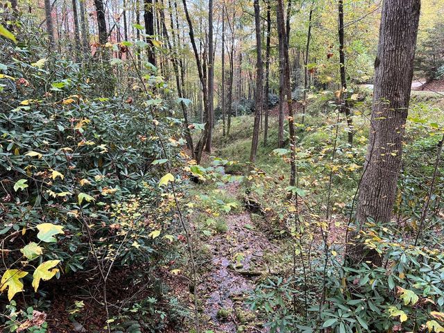 Lot 18 Black Bear Trail, Topton, NC 28781