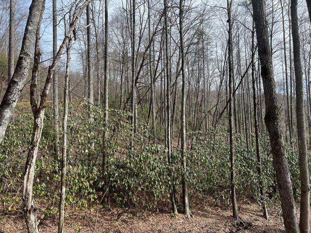 Lot 18 Black Bear Trail, Topton, NC 28781