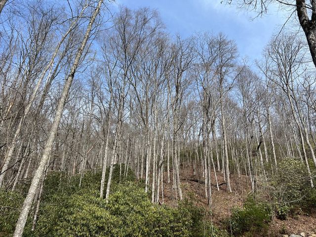 Lot 18 Black Bear Trail, Topton, NC 28781