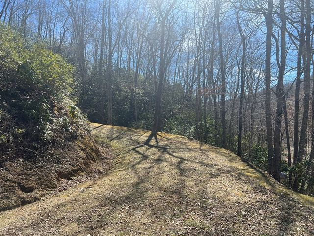 Lot 18 Black Bear Trail, Topton, NC 28781