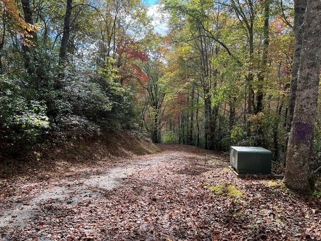 Lot 18 Black Bear Trail, Topton, NC 28781