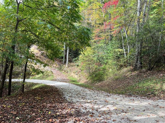 Lot 18 Black Bear Trail, Topton, NC 28781