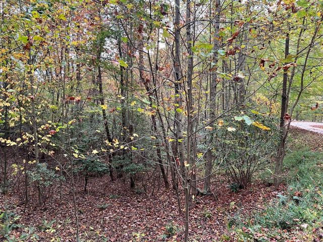 Lot 18 Black Bear Trail, Topton, NC 28781