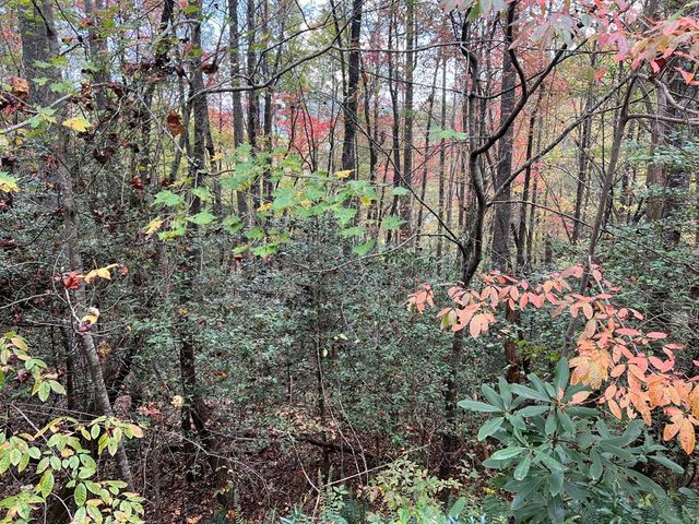 Lot 18 Black Bear Trail, Topton, NC 28781