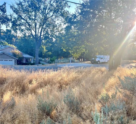 0 Alps Drive, Alpine Forest, CA 93561