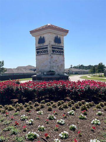 25606 Northpark Palm Drive, Porter, TX 77365