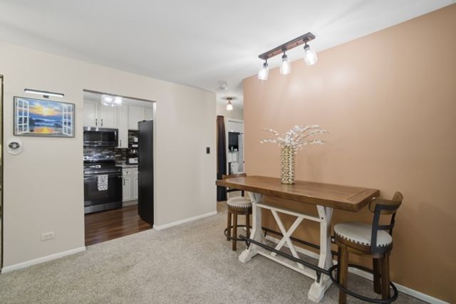 607 W Central Road 1A, Mount Prospect, IL 60056