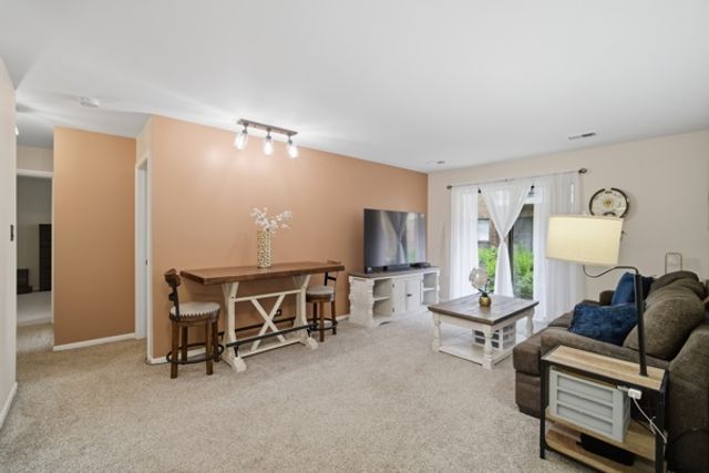 607 W Central Road 1A, Mount Prospect, IL 60056