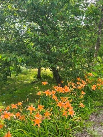 6 John Hazel Drive, Swannanoa, NC 28778