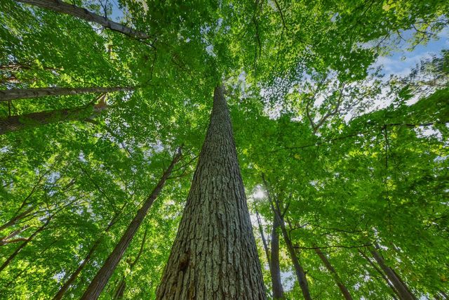 604 N 119th STREET, Wauwatosa, WI 53226