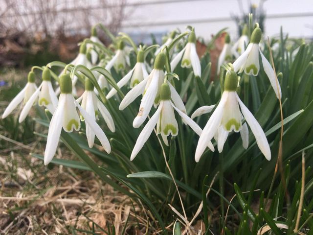 604 N 119th STREET, Wauwatosa, WI 53226