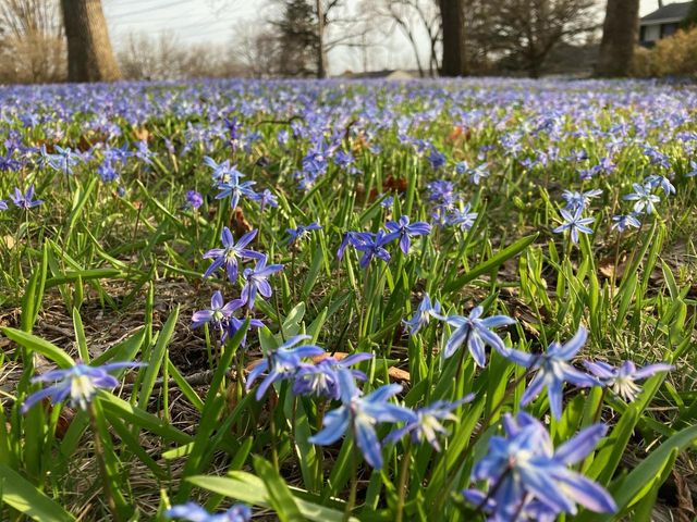 604 N 119th STREET, Wauwatosa, WI 53226