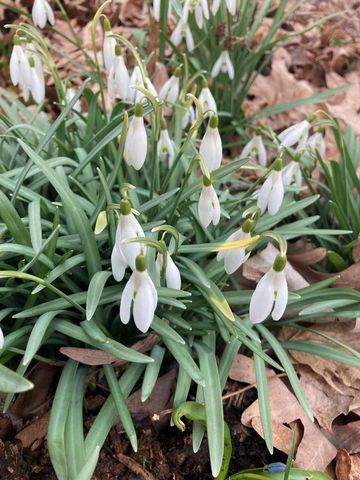 604 N 119th STREET, Wauwatosa, WI 53226