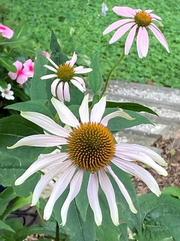 604 N 119th STREET, Wauwatosa, WI 53226