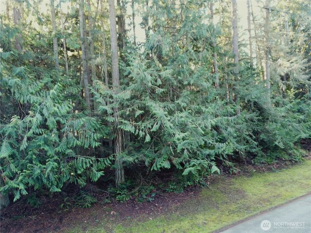 9999 Hidden Highlands Lot 3, Port Angeles, WA 98362