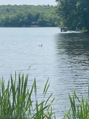 40 E Shore Dr, Hampton Twp., NJ 07860