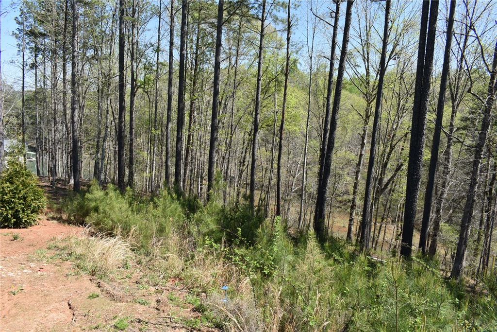 154 Bailey Street, Six Mile, SC 29682