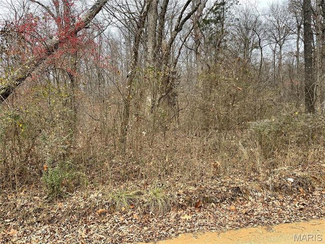 0 County Road 160 E-4, Doniphan, MO 63935