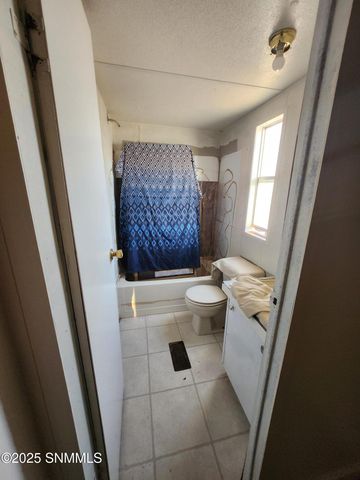 1280 Camino Real Drive, Chaparral, NM 88081