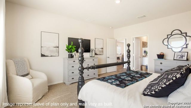 1548 Agave Cellar, New Braunfels, TX 78130