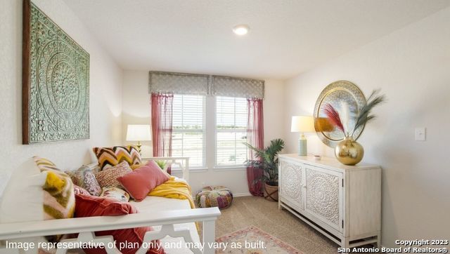 1548 Agave Cellar, New Braunfels, TX 78130