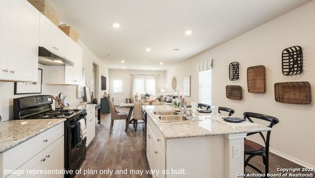 1548 Agave Cellar, New Braunfels, TX 78130