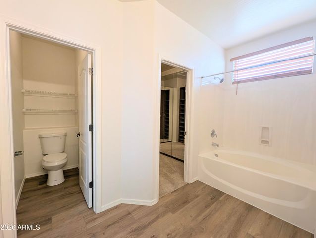 3668 E Moreno Street, Gilbert, AZ 85297