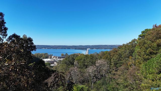 1707 Winston Street, Guntersville, AL 35976