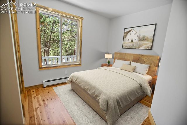 117 Rabbil Creek Trail, Florissant, CO 80816