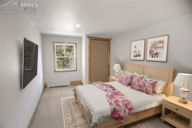 117 Rabbil Creek Trail, Florissant, CO 80816