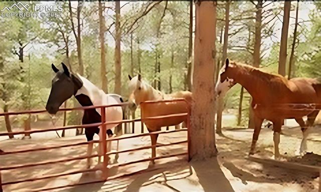 117 Rabbil Creek Trail, Florissant, CO 80816