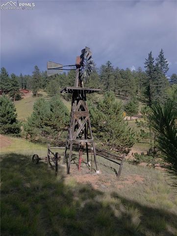 117 Rabbil Creek Trail, Florissant, CO 80816