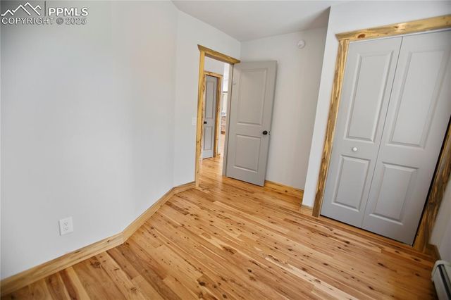 117 Rabbil Creek Trail, Florissant, CO 80816