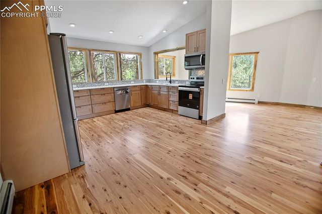 117 Rabbil Creek Trail, Florissant, CO 80816