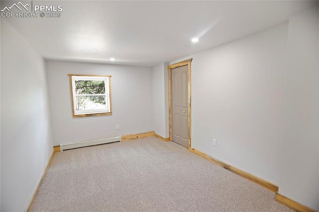 117 Rabbil Creek Trail, Florissant, CO 80816